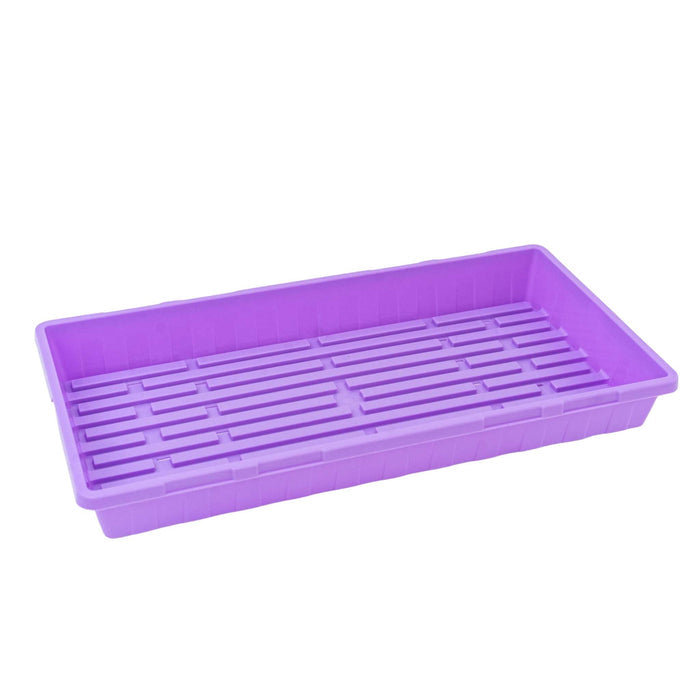 Purple / 1 Tray / No Holes
