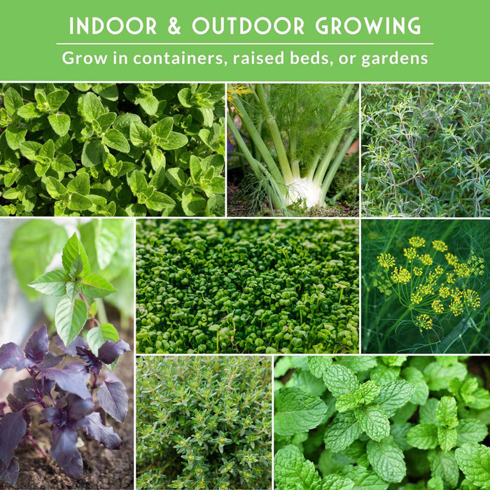 18 Culinary Herb Seed Collection – Heirloom Herbs for Cooking, Teas, Remedies & Year-Round Kitchen Gardens
