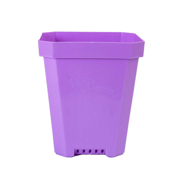 Purple / 8 Pots