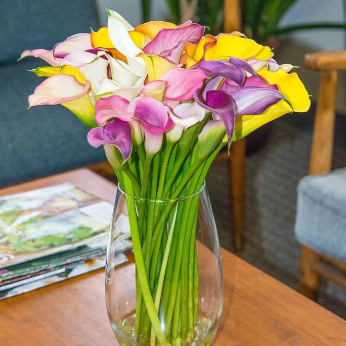 Calla Lily Mixture