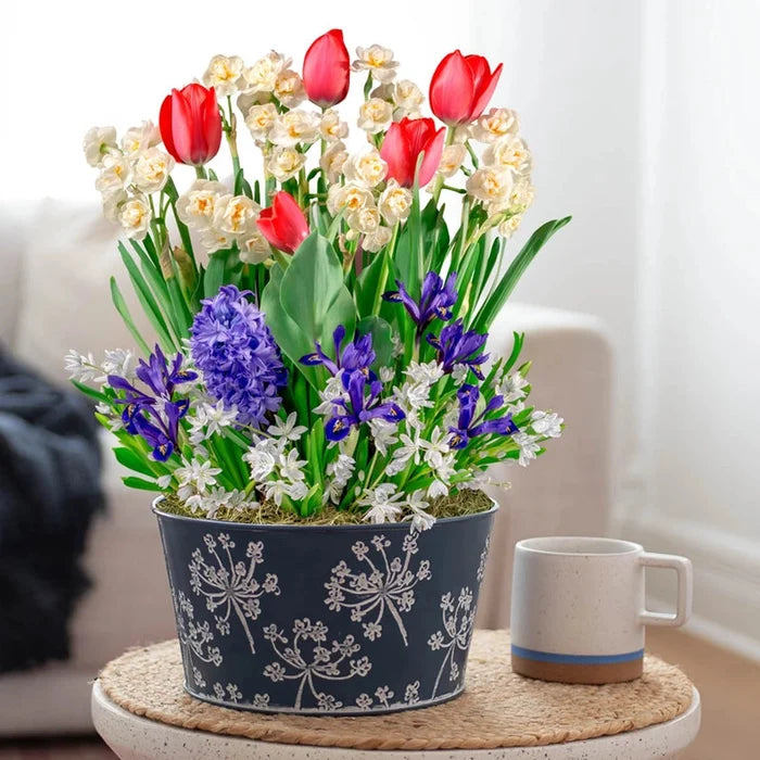 Easy Breezy Bulb Garden