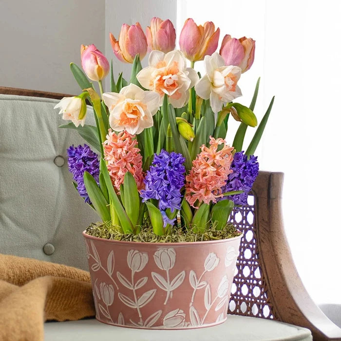 Just Peachy Fragrant Bulb Garden