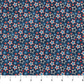 0.81824500 177133873496691350