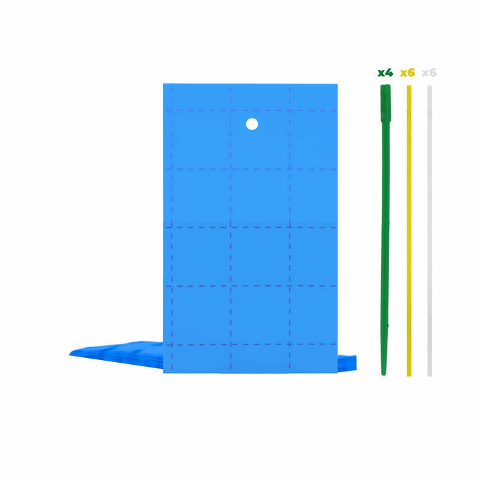 Blue / 12 Count