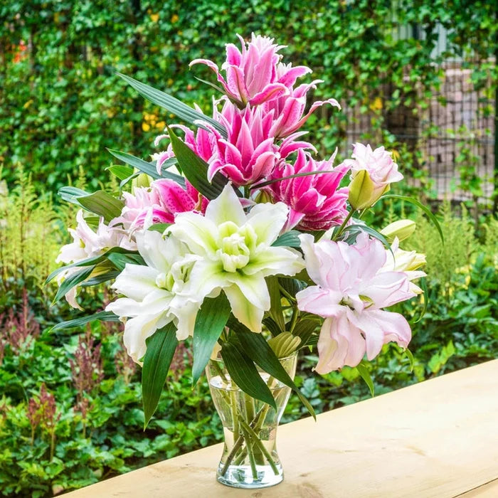 Pollen-Free Roselily Mixture