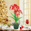 Splash Amaryllis in Foil Wrapped Pot